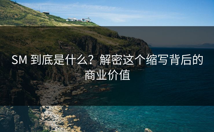 SM 到底是什么？解密这个缩写背后的商业价值  第1张