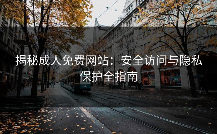 揭秘成人免费网站：安全访问与隐私保护全指南