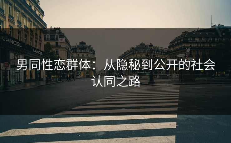 男同性恋群体：从隐秘到公开的社会认同之路