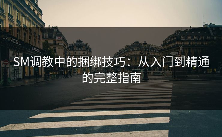 SM调教中的捆绑技巧：从入门到精通的完整指南