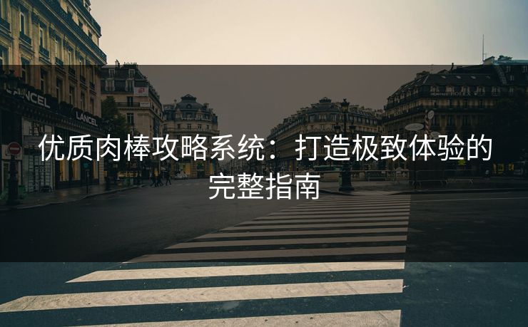 优质肉棒攻略系统：打造极致体验的完整指南