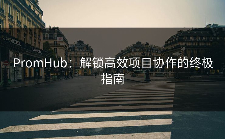 PromHub：解锁高效项目协作的终极指南  第1张