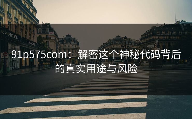91p575com：解密这个神秘代码背后的真实用途与风险